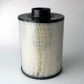 thumb B085001 Donaldson lọc gió thô động cơ